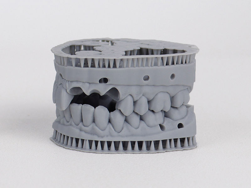 A dental model 3D printed with the Dental Model Pro Grey resin